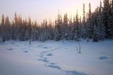 thumbnails/014-Winter moose tracks.JPG.small.jpeg
